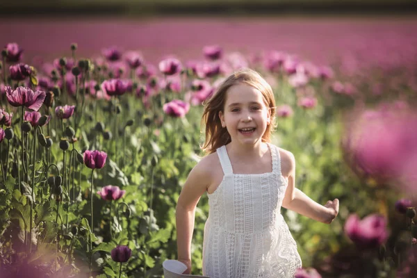 Entzückende kleine Mädchen mit langen Haaren in weißem Kleid einsam zu Fuß in der lila Mohnblumen Feld — Stockfoto