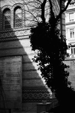 Budapeşte sinagogu, Budapeşte Dohany Sinagogu siyah beyaz fotoğraf mimarisi detayları, Macaristan
