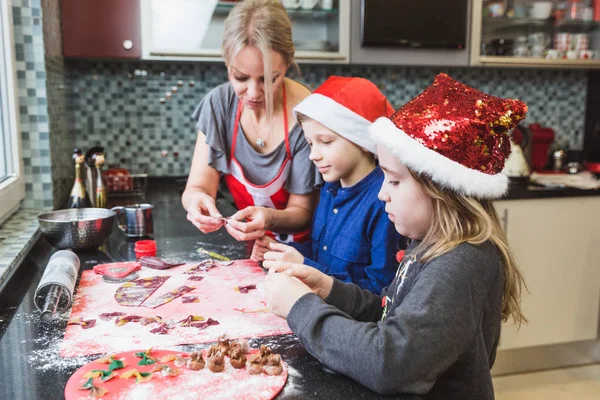 Mutlu aile anne ve çocuk oğlu ve kızı Noel için makarna fırında