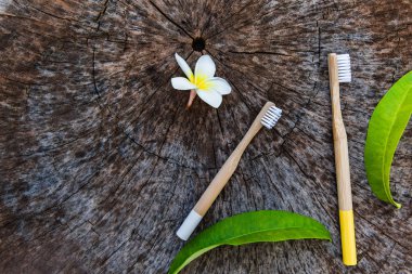 Yeşil yapraklı beyaz sarı çiçek Plumeria ile ahşap arka plan üzerinde iki beyaz ve sarı çevre dostu bambu ahşap diş fırçaları. Kopyalama alanı, düz yatıyordu.
