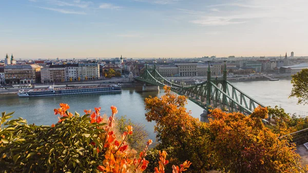 Liberty Bridge Szabadsag Caché au lever du soleil avec un beau feuillage d'automne à Budapest, Hongrie — Photo