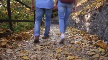 Genç çiftler sonbahar ormanlarında yürüyorlar. Kız ve erkek parkta el ele tutuşarak yürürler.
