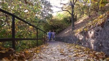 Genç çiftler sonbahar ormanlarında yürüyorlar. Kız ve erkek parkta el ele tutuşarak yürürler.