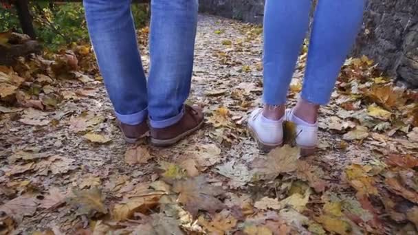 年轻人在秋天的森林里散步。公园里的女孩和男孩手牵手沿着小路走着 — 图库视频影像