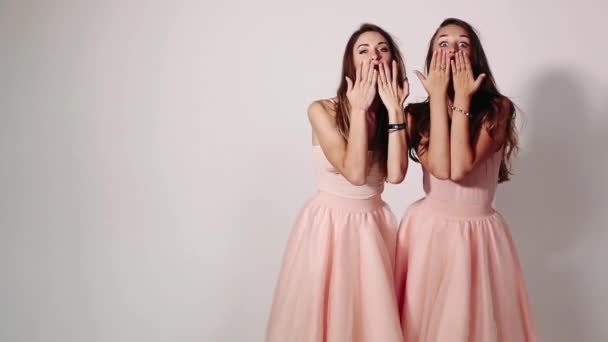 Portret van schattige jonge meisjes met lang haar, dragen in de rokken van de perzik kleur. Twee zoete vrouwen met plezier samen en verzenden kus op camera. Concept van de mode en winkelen. — Stockvideo