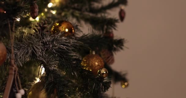 Garland ve topları ile Noel ağacı güzel dekore edilmiş. — Stok video