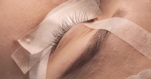 Olho feminino com sellotape para procedimento de extensão de pestanas . — Vídeo de Stock