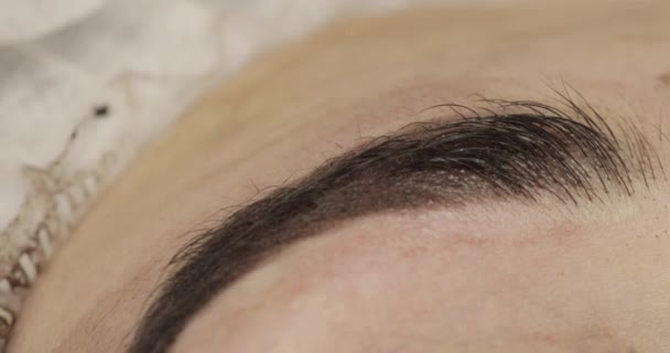 Primer plano, las manos del cosmetólogo en caucho negro aplicando maquillaje permanente en las cejas tatuaje de la ceja — Vídeos de Stock