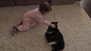 Küçük kız yerde oturan ve kırmızı kabarık kedi ile oynuyor.