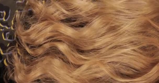 Σγουρά μεγάλα λευκά κόκκινα μαλλιά κινούνται αργά — Αρχείο Βίντεο