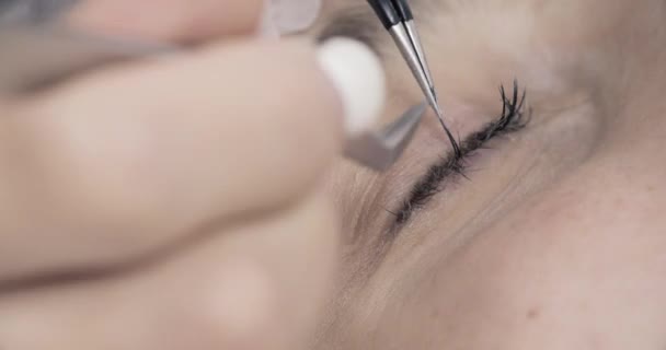 Professionelle Wimpernverlängerung in Nahaufnahme. — Stockvideo