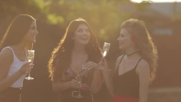 Három gyönyörű barátnője, iszik pezsgőt, a napfény, a nyári park. — Stock videók