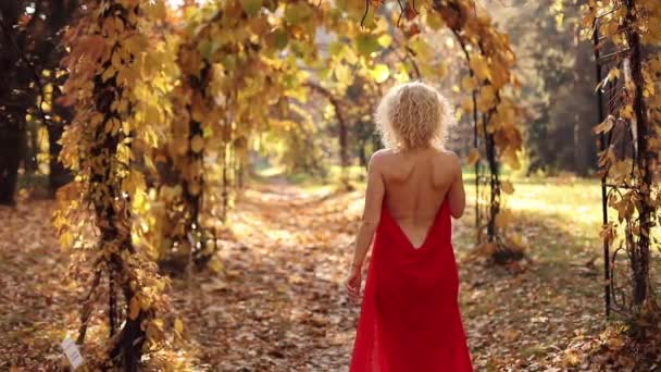 Sonbahar Park'ta yürüyordunuz uzun kırmızı elbiseli güzel ve seksi sarışın kadın. — Stok video