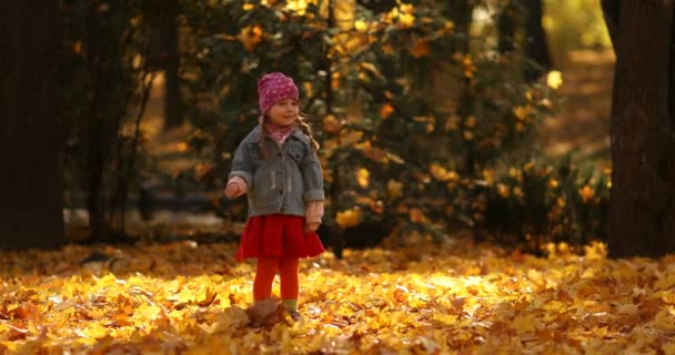 Nettes kleines Mädchen spielt mit Blättern im herbstlichen Wald. — Stockvideo