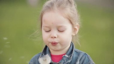 Yürürken karahindiba üfleme sevimli küçük kız