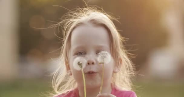 Чарівна маленька дівчинка дме кульбабу під час ходьби — стокове відео
