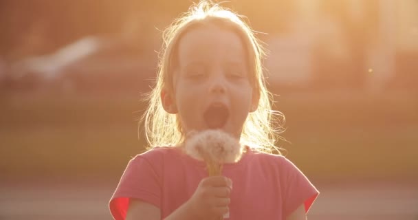 Charmig liten flicka blåser maskros medan promenader — Stockvideo