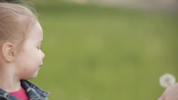 Affascinante bambina che soffia dente di leone mentre cammina — Video Stock