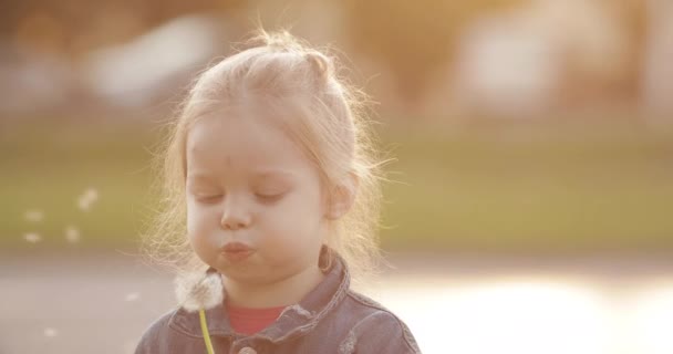 Чарівна маленька дівчинка дме кульбабу під час ходьби — стокове відео