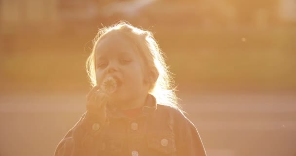 歩きながらタンポポを吹く魅力的な小さな女の子 — ストック動画