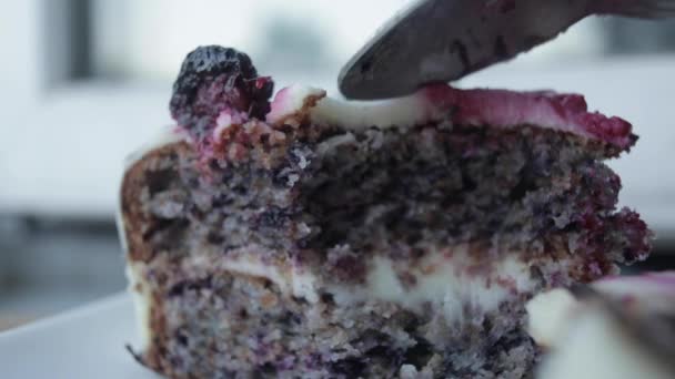 Selective focus of delicious cake with blackberries — Stock Video