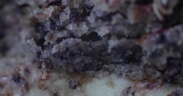 Селективный фокус вкусного торта с ежевикой — стоковое видео