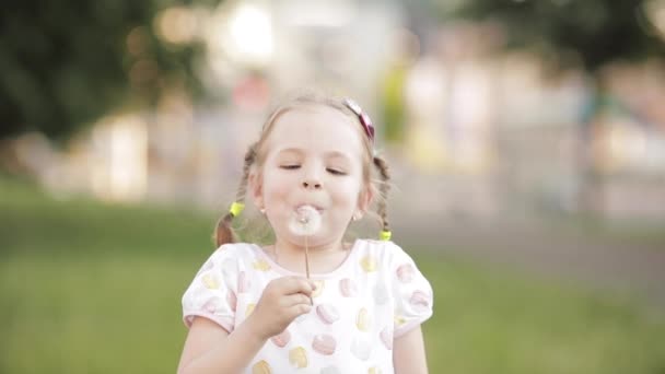 Encantadora niña soplando diente de león mientras camina — Vídeo de stock