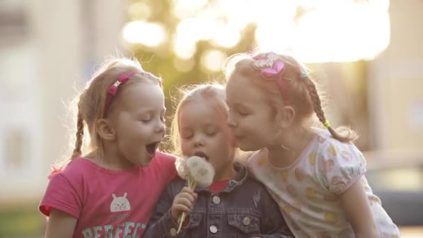 Kleine süße Mädchen mit Zöpfen spielen draußen zusammen. — Stockvideo