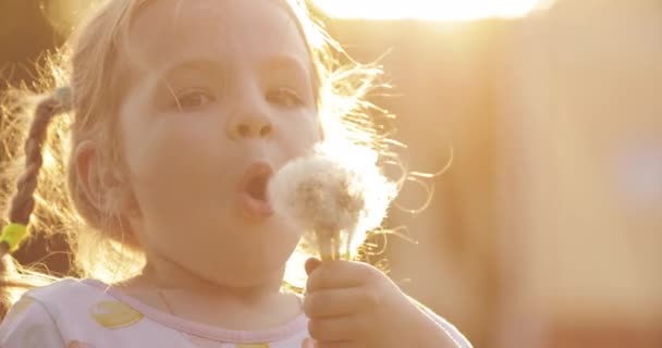 Encantadora niña soplando diente de león mientras camina — Vídeo de stock