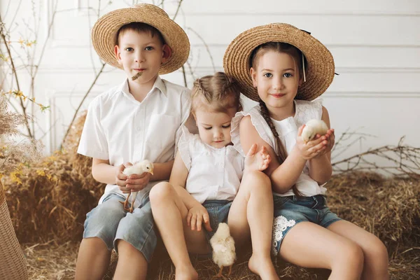 Schattige zussen en broer in hooi hoeden rusten op hooi — Stockfoto