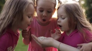 Üç oyuncu kız yetişkinler elinde çiçek yaprakları üzerinde üfleme.