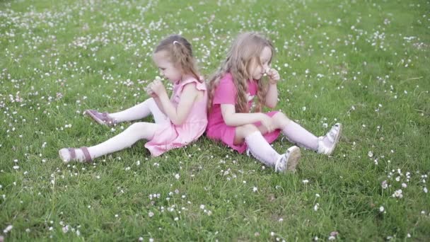 Twee mooie kleine meisjes in roze glimlachend op de camera. — Stockvideo