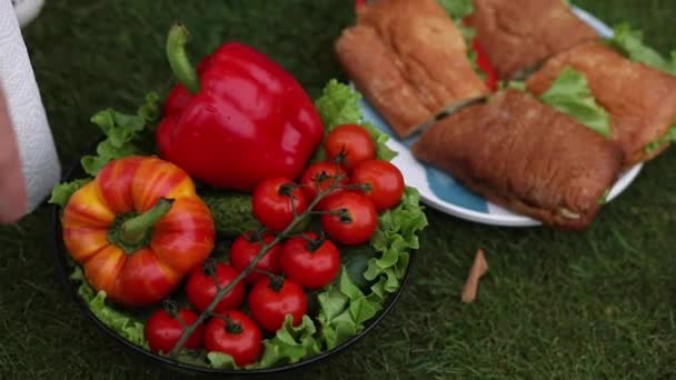 Légumes frais et sandwichs sur l'herbe . — Video