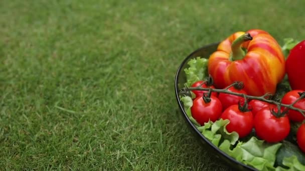 Verduras en la hierba. Top ver el video de stock de verduras frescas verdes y rojas en el bowl en el césped verde . — Vídeos de Stock