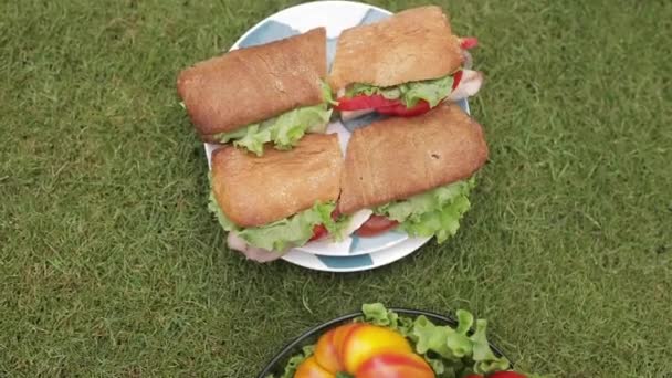 Leckere Sandwiches auf dem Rasen. — Stockvideo