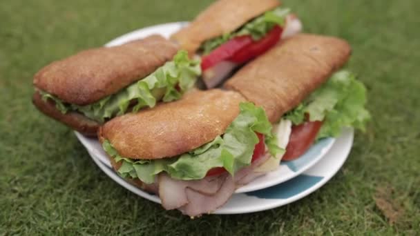 Вкусные бутерброды на траве . — стоковое видео