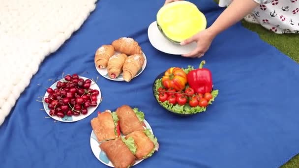 Woman putting watermelon on blanket. — Stock Video