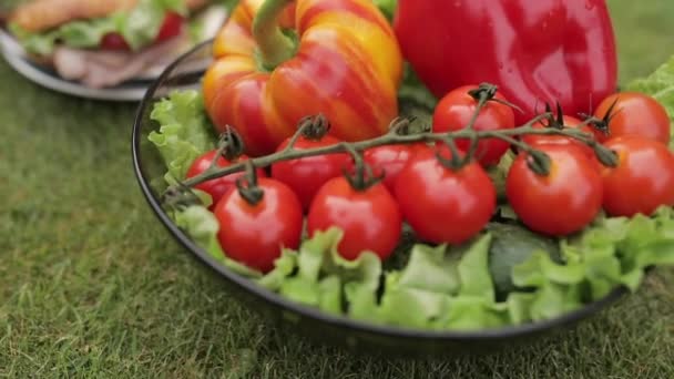 Vegetables on the grass.Top view stock video of fresh green and red vegetables in the bowl on green lawn. — Stock Video