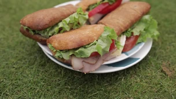 Leckere Sandwiches auf dem Rasen. — Stockvideo