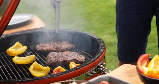 Proceso de asar carne y verduras a la parrilla en el jardín — Vídeos de Stock