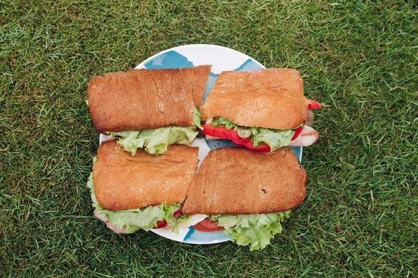 Крупный план большая тарелка с аппетитным свежим сэндвичем на зеленой траве — стоковое фото