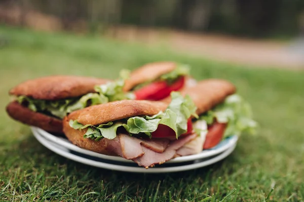 Крупним планом велика тарілка з апетитною свіжим бутербродом на зеленій траві — стокове фото