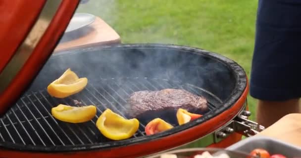 Proces van het roosteren van vlees en groenten op grill in de tuin — Stockvideo