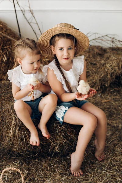 Schattige meisjes in hooi hoeden houden kleine kippen in dorp — Stockfoto