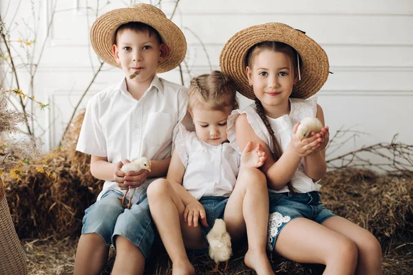 Schattige zussen en broer in hooi hoeden rusten op hooi — Stockfoto