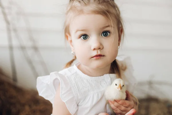 Прекрасна дівчина з великими красивими очима тримає маленьку пташеня — стокове фото