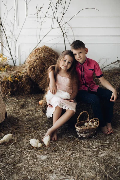 Broer en zus in hooi hoeden houden van kleine kuikens — Stockfoto