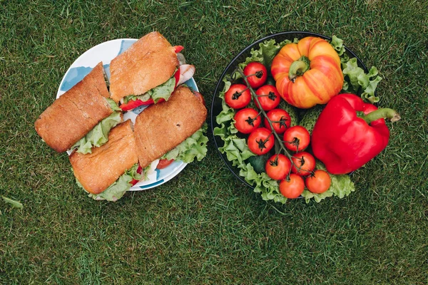 Close-up de deliciosos sanduíches com legumes. Tigela de vegetais eco saudáveis na grama . — Fotografia de Stock