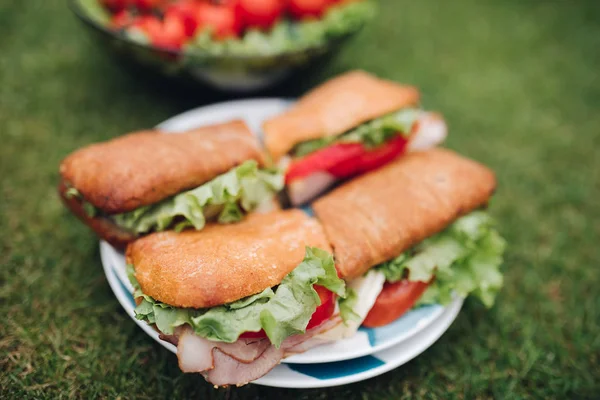 Бутерброди з помідорами, цибулею і салатом залишаються на тарілці — стокове фото