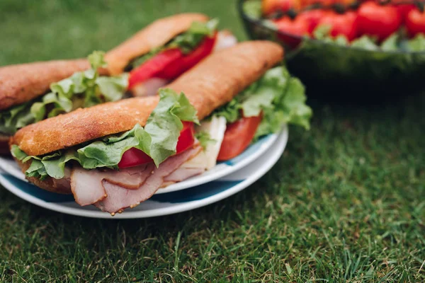 Апетитні бутерброди на тарілці на траві. нарізані холодним м'ясом і хлібом, подані на тарілці на зеленій літній траві . — стокове фото
